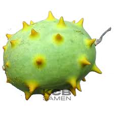 Image result for Cucumis