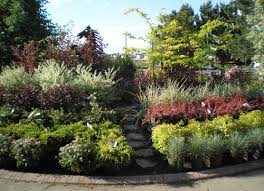 Great savings & free delivery / collection on many items. Best Landscaping Bushes Derrickandmelisa