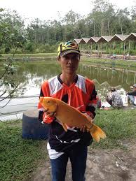 Jambipos Toko Pancing Di Jambi Buana Fishing Buana Pancing Tempatnya