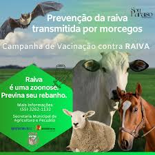 Notícia - Secretaria da Agricultura e Emater lançam campanha de vacinação  contra carbúnculo e raiva em anim... - Prefeitura Municipal de Paraíso do  Sul