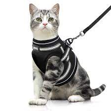 joyo katzengeschirr mit leine weich verstellbar geschirr fur katzen ausbruchsicher welpengeschirr mit reflektierenden streifen b katzengeschirr katzen welpen