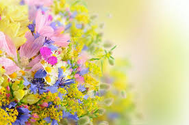 Check spelling or type a new query. Flower Wallpaper Hd Airwallpaper Com Beautiful Flowers Wallpapers Beautiful Flowers Hd Wallpapers Flower Images Wallpapers