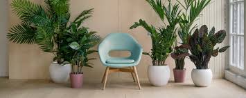 Great landscape and gardening idea.i've looked for glow in the. 18 Plants That Don T Need Sun