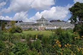 Perfekter Ort Inmitten Der Stadt Botanischer Garten Der Universitat Kopenhagen In Kopenhagen Gunstig Urlaub Buchen Botanischer Garten Perfekter Ort