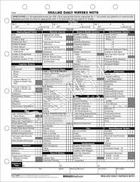 Skilled Daily Nurses Note Nursing Notes Charting For