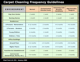 carpet cleaning