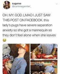 Baby separation anxiety is a normal stage of development. Dopl3r Com Memes Sugaree Corinnegarnier Oh My God Lmao I Just Saw This Post On Facebook This Ladys Pugs Have Severe Separation Anxiety So She Got A Mannequin So They Dont