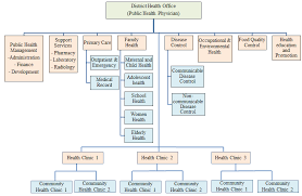District Health Office Organization Chart Moh 2010b