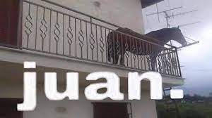 Juan the horse memes are particularly popular on reddit in late october 2020. Juan Youtube