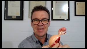 Discoid Resection of Rectosigmoid Endometriosis with Laparoscopic  Ultrasound Assistance