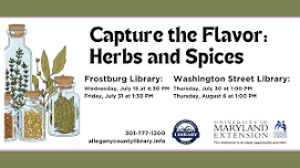 Capture the Flavor at Washington Street Library