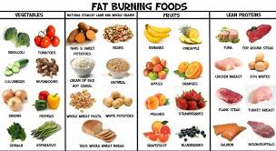 First, let's take a quick look at where juice fasting came from. The Fatburning Fat The Coconut Is Natures Premier Induced Info