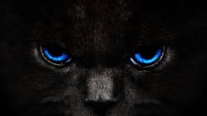 Download hd black wallpapers best collection. Black And Blue Wallpapers Hd Wallpaper Cave