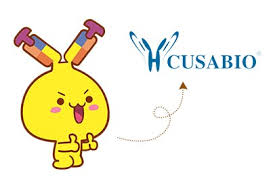 Cusabio Myc Antibodies Start At 89 9 100ug Cusabio Please continue watching anime/cartoons as usual.