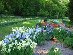 Njdep Parks And Forests Backyard Garden Design Beautiful Backyards Garden Design
