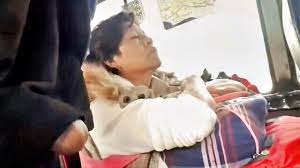 Dickflash Video - XXXBP