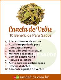 Para Que Serve O Remédio Canela De Velho Os 10 Beneficios Da Canela De Velho Para Saude Diet And Nutrition Canela Beneficios Nutricao Saudavel