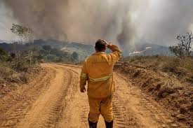 Incêndios não dão tréguas no sul de itália e 11 mil hectares já arderam na calábria. 4hmg76k4h8tvym