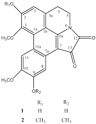 Information and translations of aporphine in the most comprehensive dictionary definitions resource on the web. Molbank Free Full Text Further Aporphine Alkaloids From Phoebe Lanceolata Html