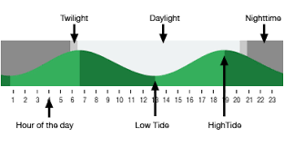 times high tide online charts collection