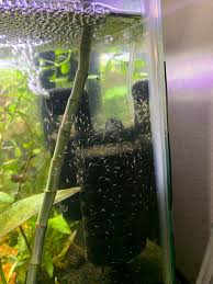 Pond Care Pondcare Algaefix Algae Control For Ponds 8 Oz (Treats 2,400  Gallons) - Walmart.Com