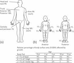 Lund And Browder Chart Rule Of Nines B The Lund