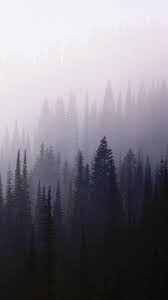 Aesthetic forest wallpaper pc allwallpaper. Pastel Aesthetic Forest Wallpaper Novocom Top