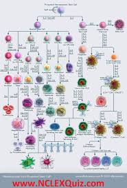 Pin On Medicină