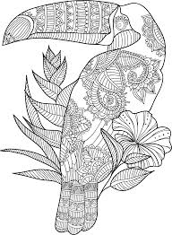 Toucan Zentangle Star Coloring Pages Animal Coloring Pages Zoo Animal Coloring Pages