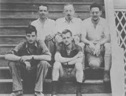 Image result for Dictyophleba ochracea