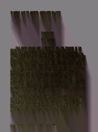 Image result for Triainolepis sancta