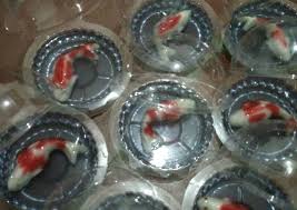 Karena kami tidak membuat secara massal dan dibuat stock. Resep Puding Ikan Koi Kecil Oleh Listy Listiana Al Islams