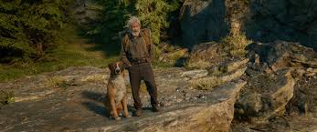 Ford made his film debut in 1966 and spent most of the first ten years of his career in small supporting roles in both films and television before rising to stardom for his. Where Can You Stream The Call Of The Wild With Harrison Ford
