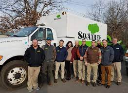 Maybe you would like to learn more about one of these? Princeton Nj Tree Service Lawn Care Savatree Nj Certified Aborists