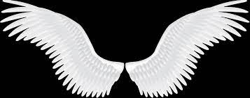 Background Hd Wings Png Transparent Background Free Download 36461 Freeiconspng