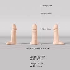 Файл STL Средний пенис фаллоимитатор 13 см 5 дюймов・Дизайн для загрузки и  3D-печати・Cults