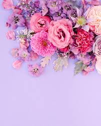 Download clker's purple flower 17 clip art and related images now. Pink And Purple Flower Wallpapers Top Free Pink And Purple Flower Backgrounds Wallpaperaccess