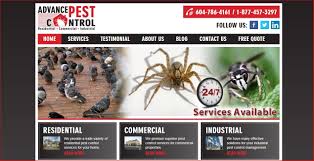 Save time & money by making pest companies compete for. Pest Control Burnaby Pest Control Pest Control Services Mice Control