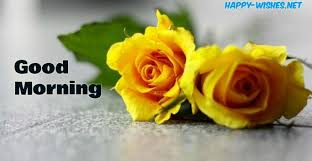 50 Good Morning Wishes With Rose Picture Yellow Roses Beautiful Flowers Wallpapers Good Morning Flowers