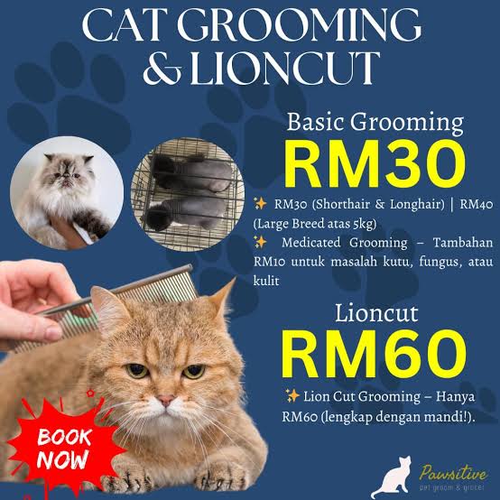 FULL SERVICE CAT GROOMING & BOARDING Shah Alam Seksyen 7!! Kucing  kesayangan dah berbau, bulu kusut, atau asyik garu sebab kutu? 🙀 Atau anak  bulus tak boleh duduk diam macam Spiderman? 🕷️💨
