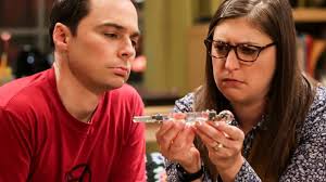 Big Bang Theory The Hofstadters’ Wedding Gift to Sheldon & Amy Explained