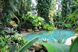 The cottages at woodland pond offers the best in convenience and amenities in a community. Woodland Nursery Animals Black White Baby Animals Set Dog Duck Etsy In 2021 Backyard Pool Landscaping Tropical Pool Landscaping Pool Landscaping