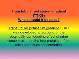 Image result for Transtubular Potassium Gradient