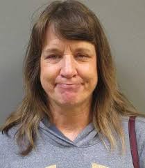 Woman who drove into playground sentenced