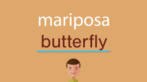 Como Se Dice Mariposa En Ingles Youtube