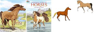 Today, we recommend free print horse coloring pages for you, this article is related with legendary pokemon giratina coloring pages. Wonderful World Of Horses Coloring Book Dover Nature Coloring Book John Green 8601300296371 Amazon Com Books