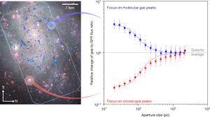 Fast And Inefficient Star Formation Due To Short Lived Molecular Clouds And Rapid Feedback Nature