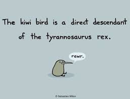 New Zealand S Answer To Australia S Scary Stuff Funny Just For Laughs Funny Pictures