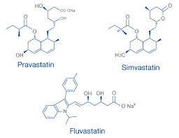 Statiner kan også forårsake lever og muskel toksisitet. Statiner For Kolesterol Hva Er Et Statin