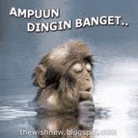  Dp Bbm Monyet Mandi Kedinginan Dp Bbm Animasi Terbaru Versi Photoshop Dingin Animasi Gambar Bergerak
